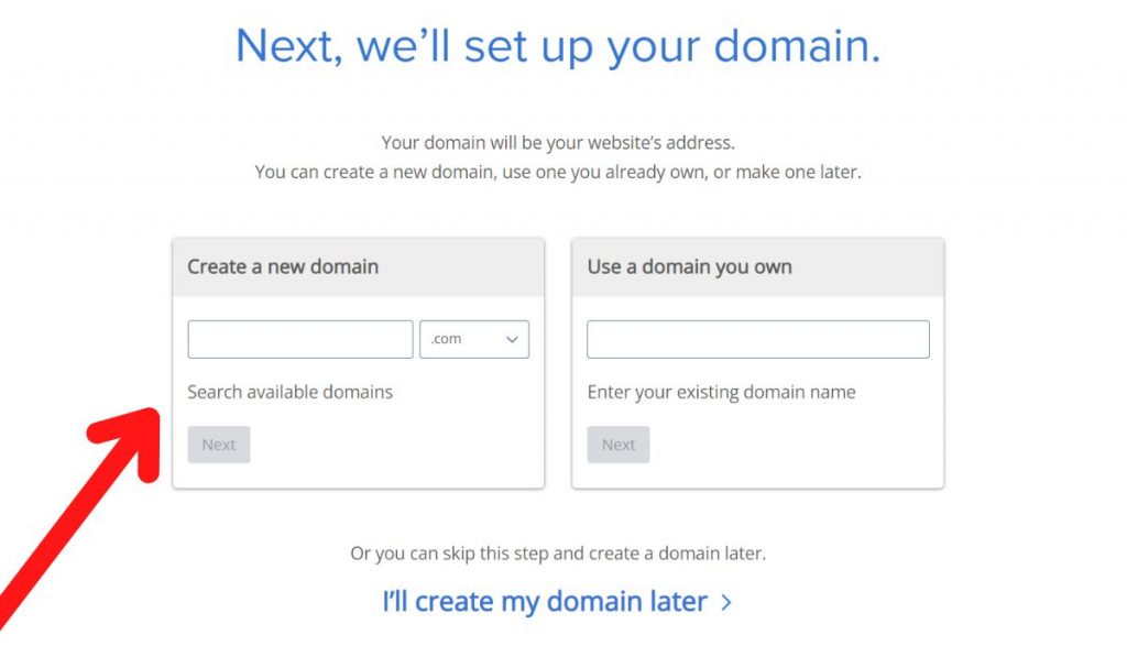 Choose Your Domain Name (1)